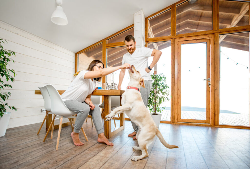 Living in Kensington Grove, Greenwood: A Neighbor’s Guide to Life in This Welcoming Community